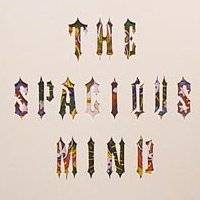 logo Spacious Mind logo Spacious Mind